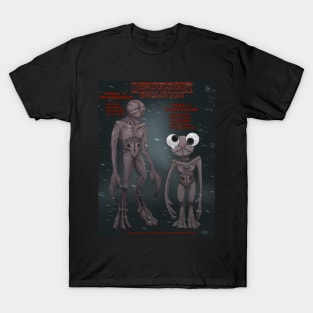 Demogorgon Evolution DemiGooGoo Stranger Things T-Shirt